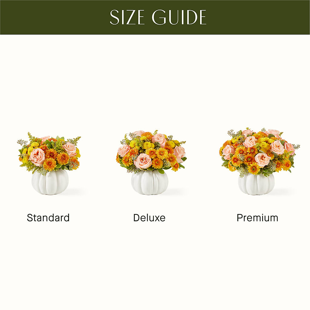 Peachy Pumpkin – SATELLITE FLORIST & GARDEN CENTRE, Hamilton ON