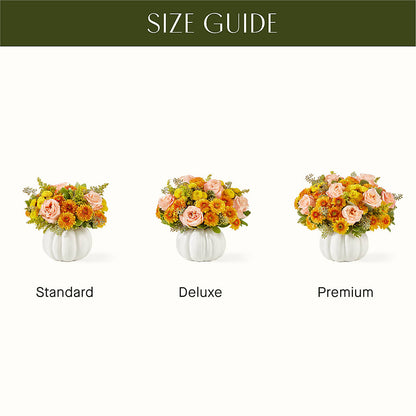Peachy Pumpkin – SATELLITE FLORIST & GARDEN CENTRE, Hamilton ON