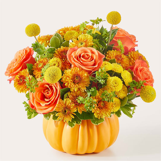 Gourdgeous Pumpkin – SATELLITE FLORIST & GARDEN CENTRE, Hamilton ON