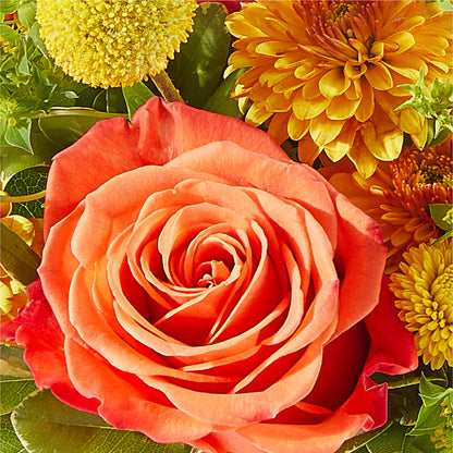 Gourdgeous Pumpkin – SATELLITE FLORIST & GARDEN CENTRE, Hamilton ON