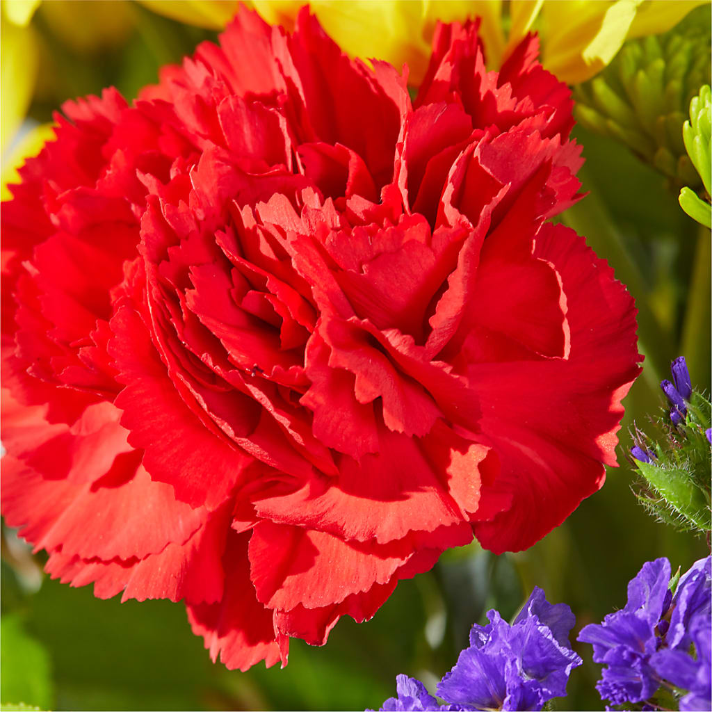 Brighter Days Bouquet – SATELLITE FLORIST & GARDEN CENTRE, Hamilton ON