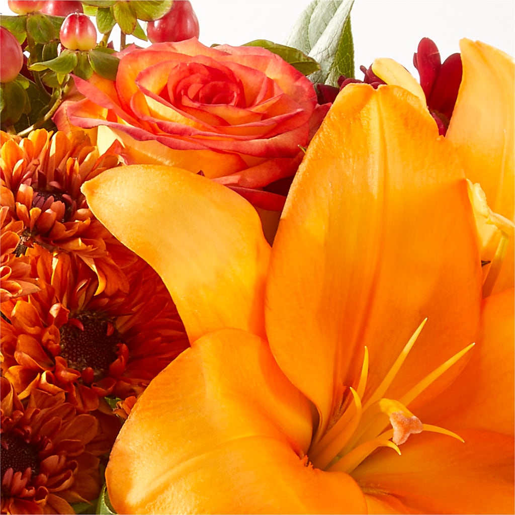 Backyard Bonfire Bouquet – SATELLITE FLORIST & GARDEN CENTRE, Hamilton ON