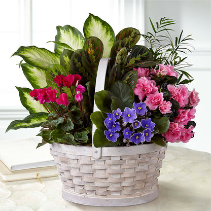 Peaceful Garden Planter – SATELLITE FLORIST & GARDEN CENTRE, Hamilton ON