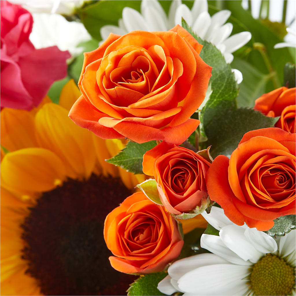 Sun-drenched Blooms Bouquet – SATELLITE FLORIST & GARDEN CENTRE, Hamilton ON