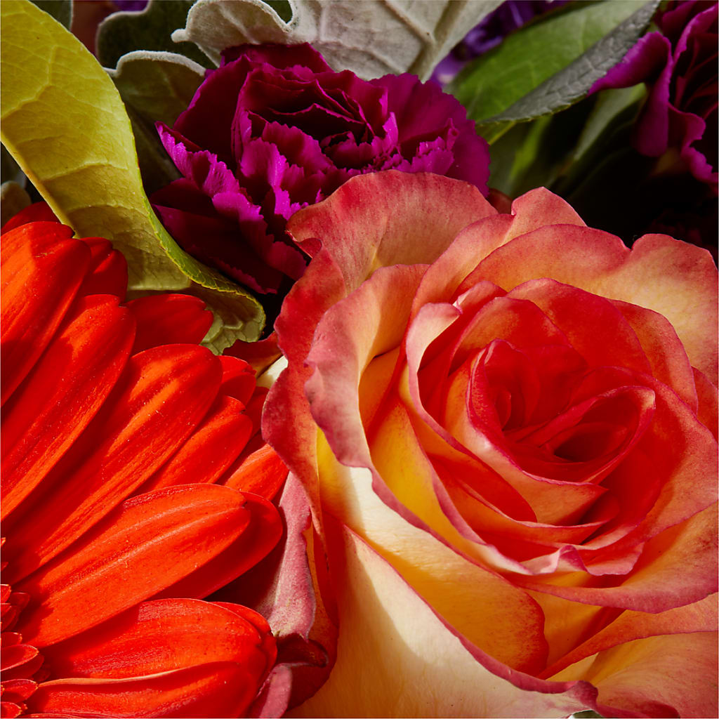 Sangria Bouquet – SATELLITE FLORIST & GARDEN CENTRE, Hamilton ON