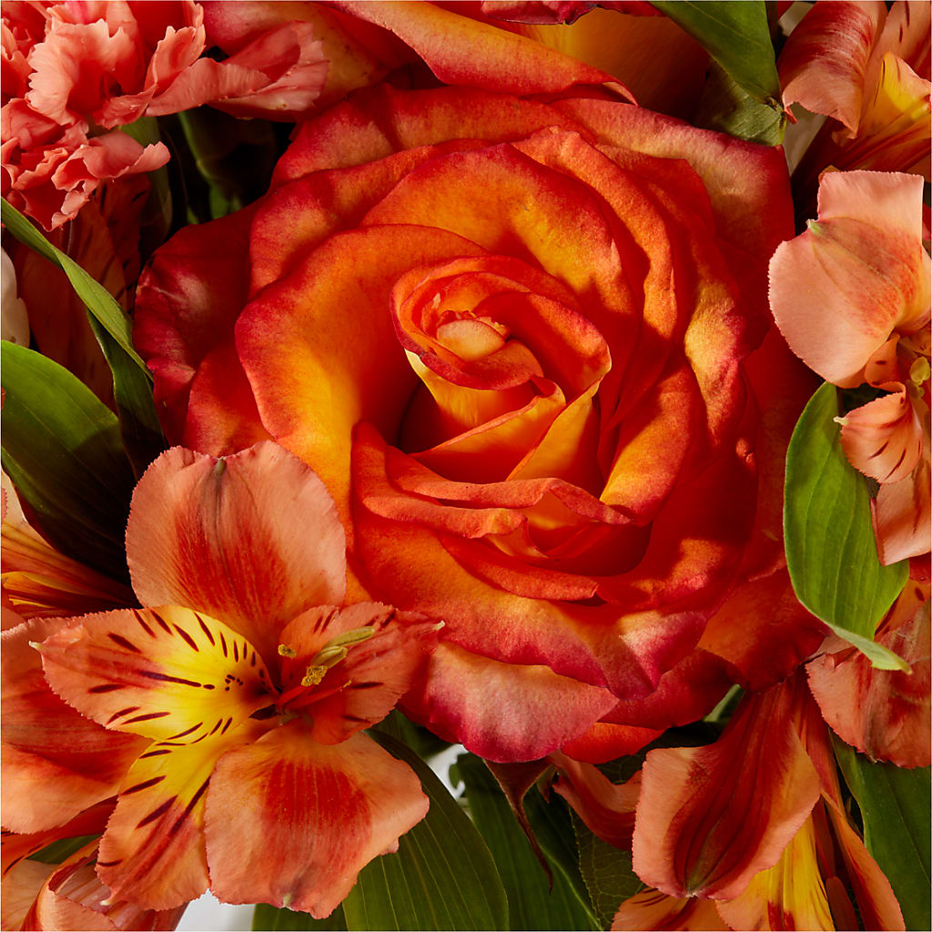 Apricot Glow Bouquet – SATELLITE FLORIST & GARDEN CENTRE, Hamilton ON