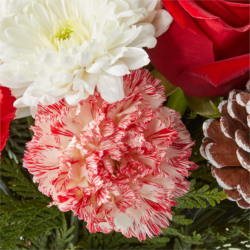 Candy Cane Lane Bouquet – SATELLITE FLORIST & GARDEN CENTRE, Hamilton ON