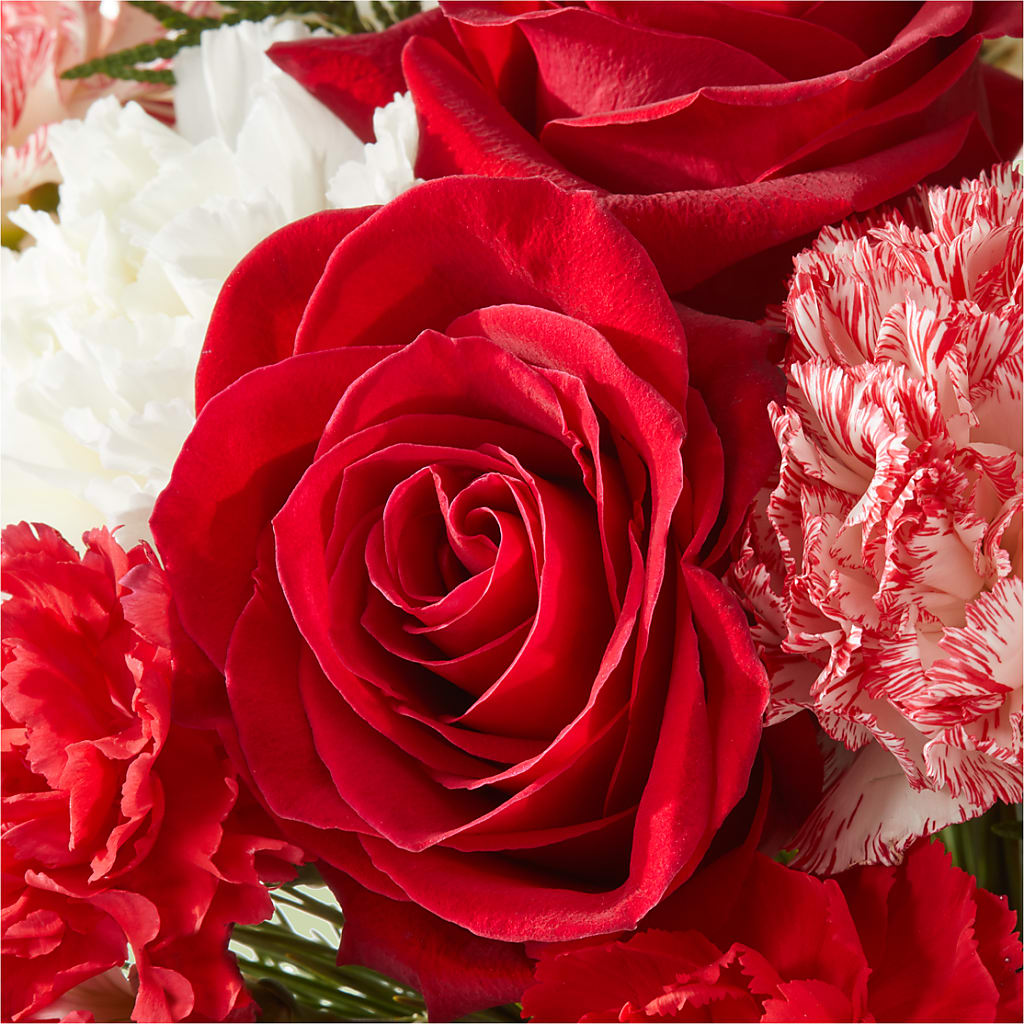 Candy Cane Lane Bouquet – SATELLITE FLORIST & GARDEN CENTRE, Hamilton ON
