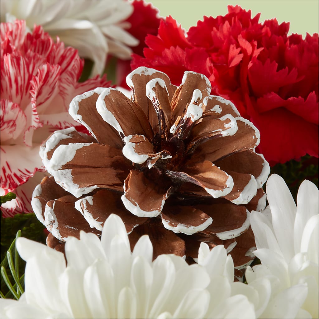 Candy Cane Lane Bouquet – SATELLITE FLORIST & GARDEN CENTRE, Hamilton ON