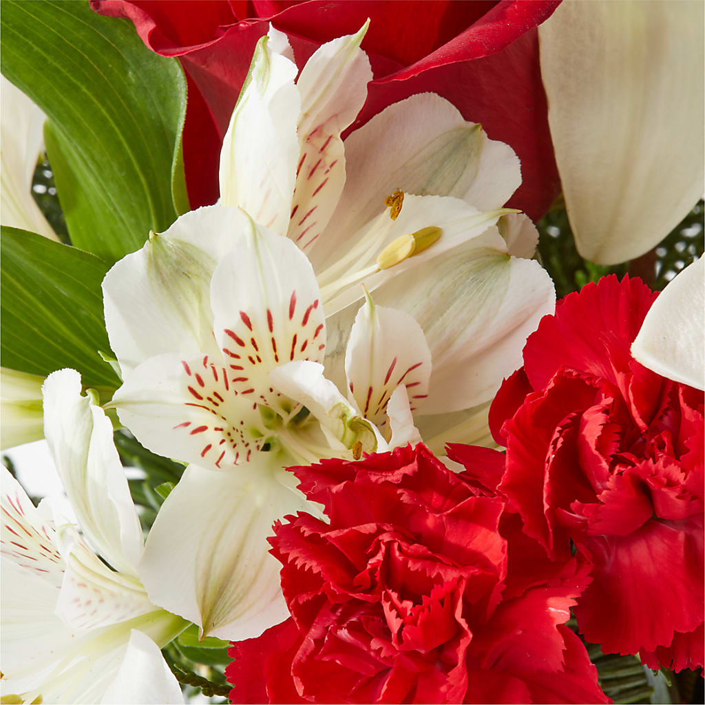 Holiday Season Bouquet – SATELLITE FLORIST & GARDEN CENTRE, Hamilton ON