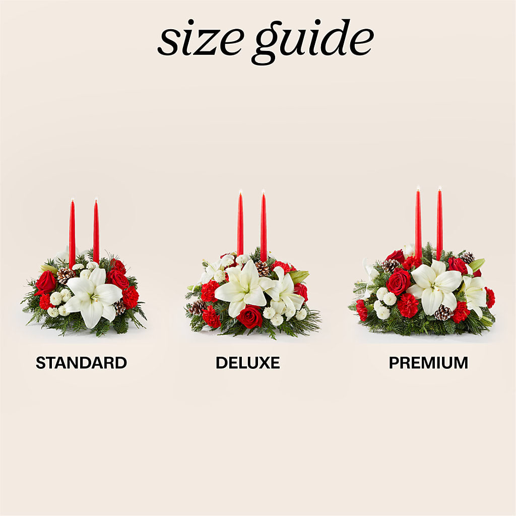 Seasonal Festivities Centerpiece – SATELLITE FLORIST & GARDEN CENTRE, Hamilton ON
