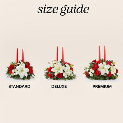 Seasonal Festivities Centerpiece – SATELLITE FLORIST & GARDEN CENTRE, Hamilton ON