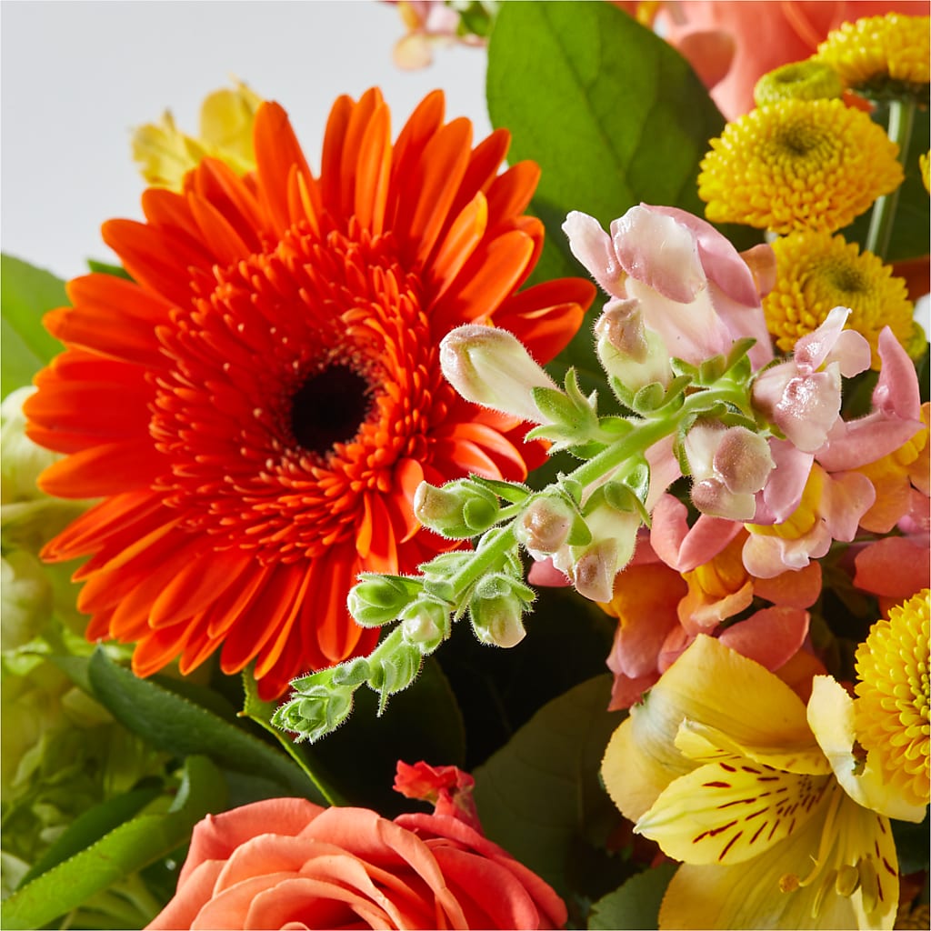 Autumn Sunshine Bouquet – SATELLITE FLORIST & GARDEN CENTRE, Hamilton ON