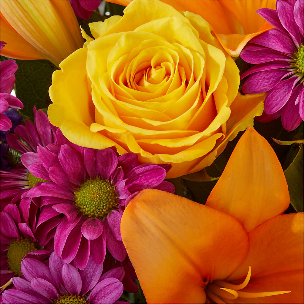 Colorful Visions Bouquet – SATELLITE FLORIST & GARDEN CENTRE, Hamilton ON