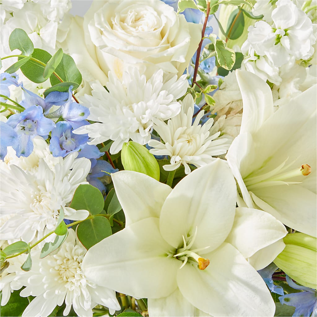 Peace of Mind Bouquet – SATELLITE FLORIST & GARDEN CENTRE, Hamilton ON