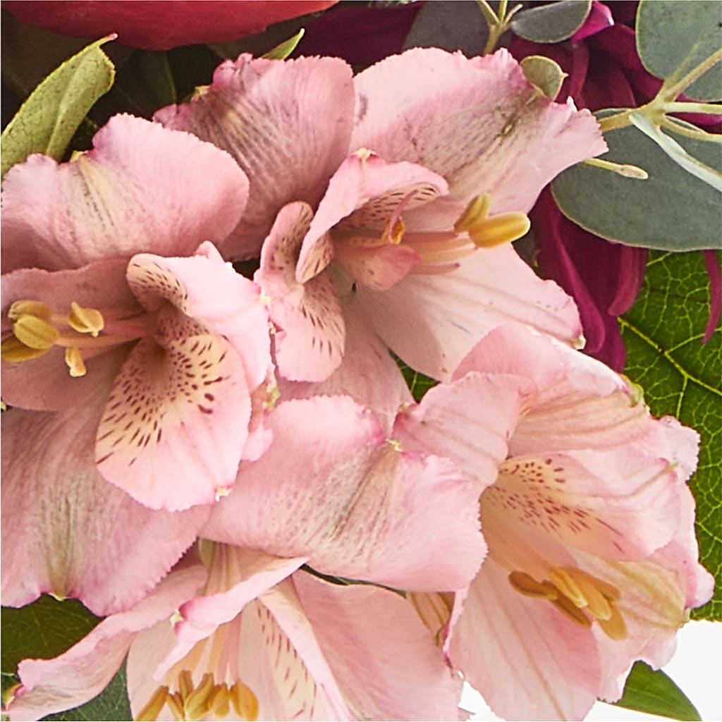 Berry Cobbler Bouquet – SATELLITE FLORIST & GARDEN CENTRE, Hamilton ON