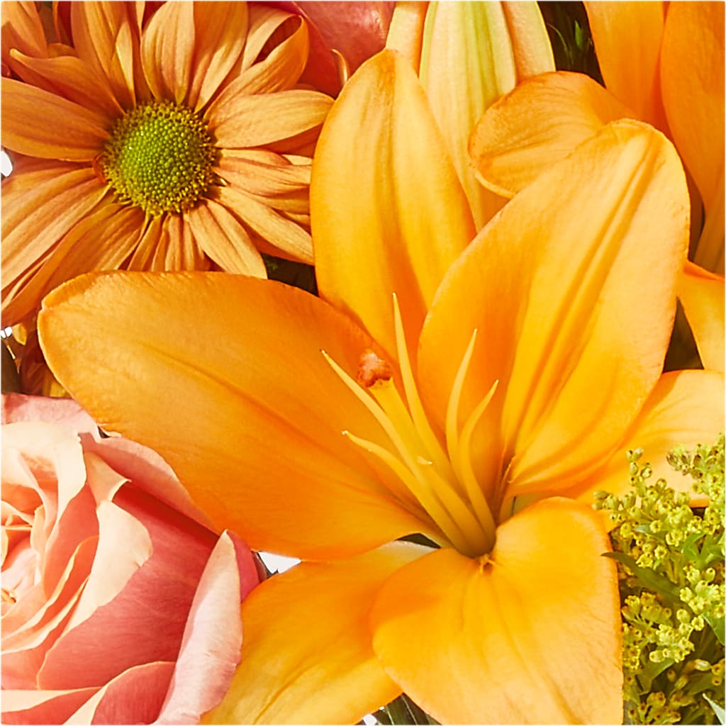 Harvest Hayride Bouquet – SATELLITE FLORIST & GARDEN CENTRE, Hamilton ON