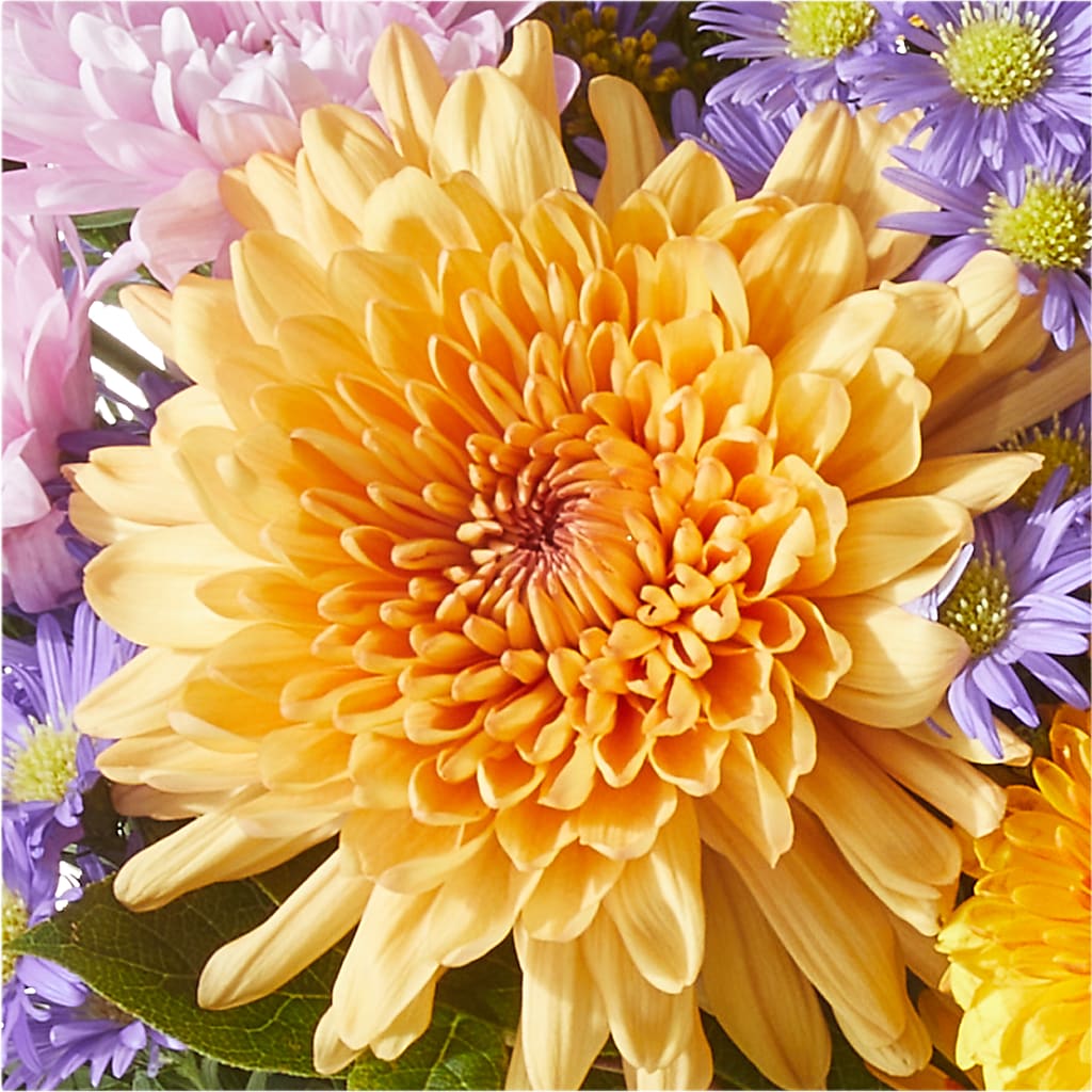 Countryside Bouquet – SATELLITE FLORIST & GARDEN CENTRE, Hamilton ON