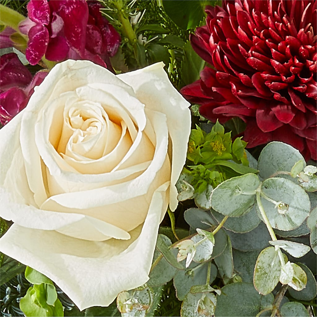 Cranberry Fizz Bouquet – SATELLITE FLORIST & GARDEN CENTRE, Hamilton ON