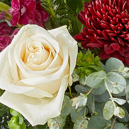 Cranberry Fizz Bouquet – SATELLITE FLORIST & GARDEN CENTRE, Hamilton ON