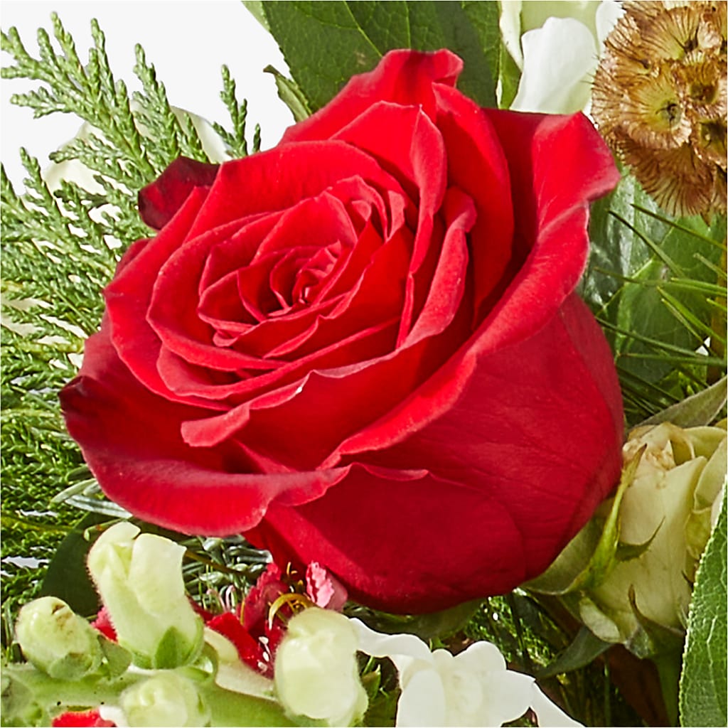 Deck the Halls Bouquet – SATELLITE FLORIST & GARDEN CENTRE, Hamilton ON
