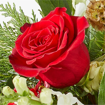 Deck the Halls Bouquet – SATELLITE FLORIST & GARDEN CENTRE, Hamilton ON