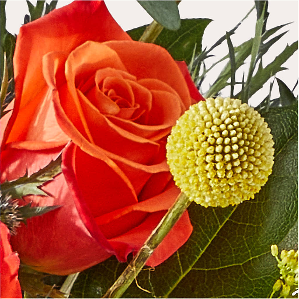 Disco Bouquet – SATELLITE FLORIST & GARDEN CENTRE, Hamilton ON