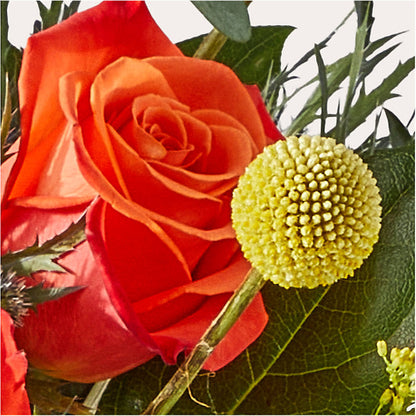 Disco Bouquet – SATELLITE FLORIST & GARDEN CENTRE, Hamilton ON