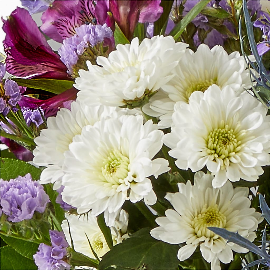 Shooting Star Bouquet – SATELLITE FLORIST & GARDEN CENTRE, Hamilton ON
