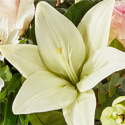 Ballet Slippers Bouquet – SATELLITE FLORIST & GARDEN CENTRE, Hamilton ON