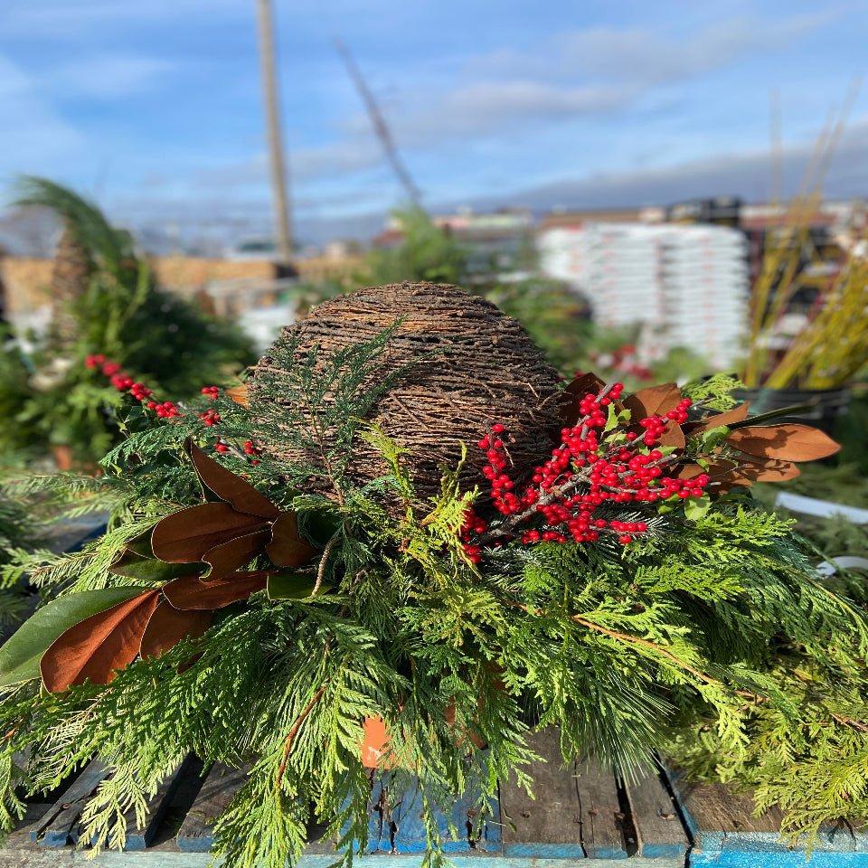 Christmas 3 - Satellite Garden Centre