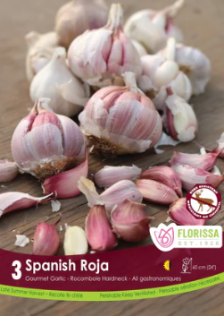 Garlic Spanish Roja Tops