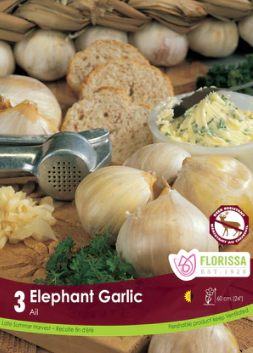 Garlic Elephant Tops