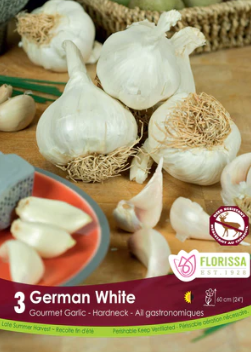Garlic German White Hardneck Tops