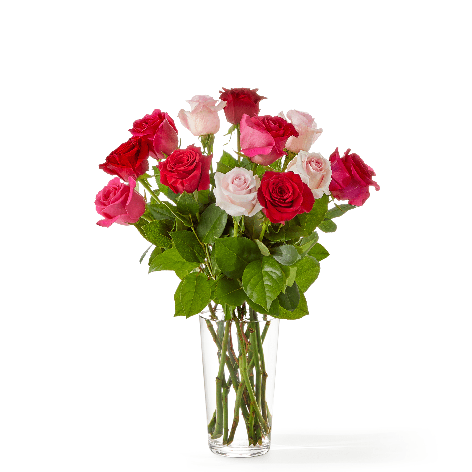 One Dozen Charming Rose Bouquet - Satellite Garden Centre