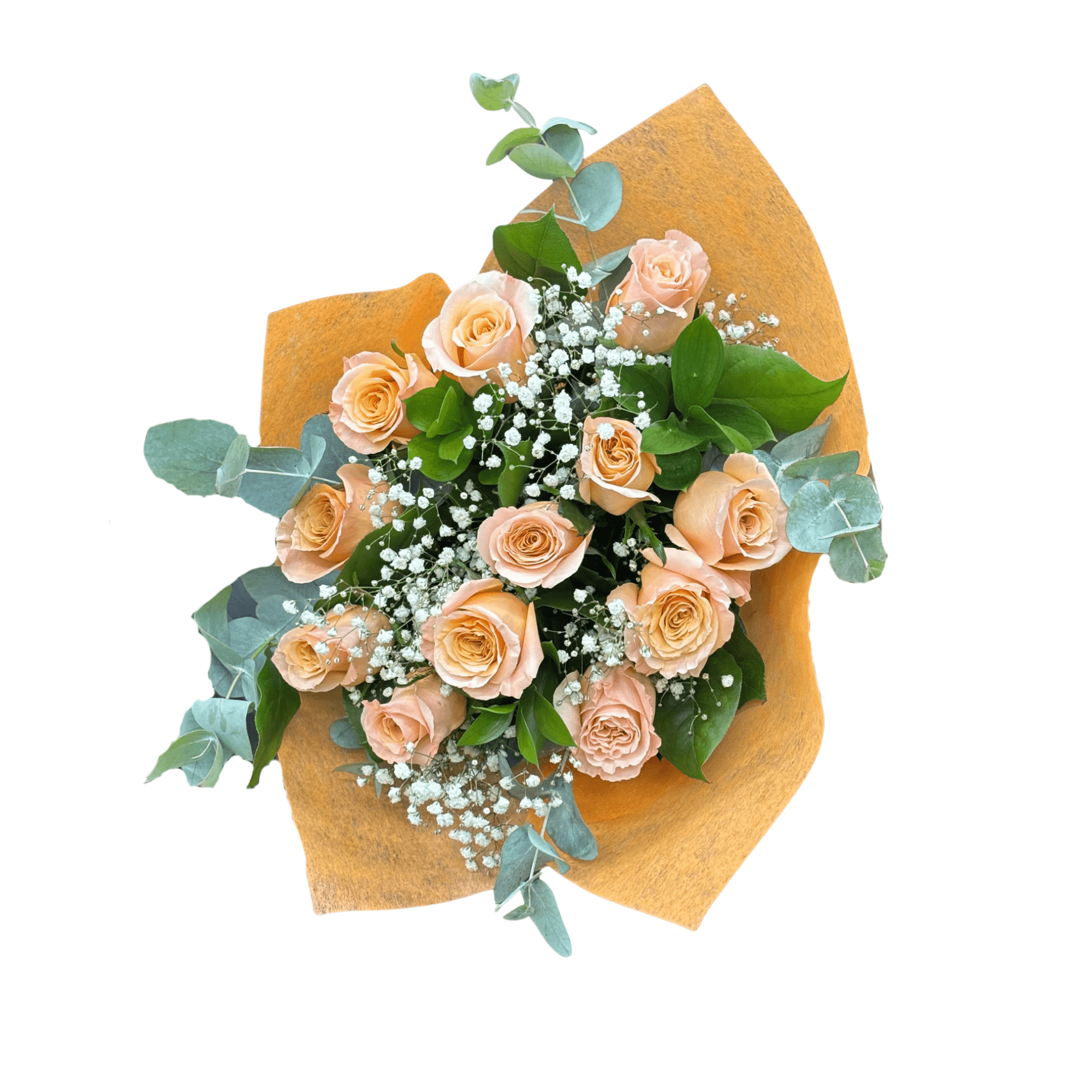 One Dozen Hand - Tied Peach Rose Bouquet with Baby's Breath - Satellite Garden Centre