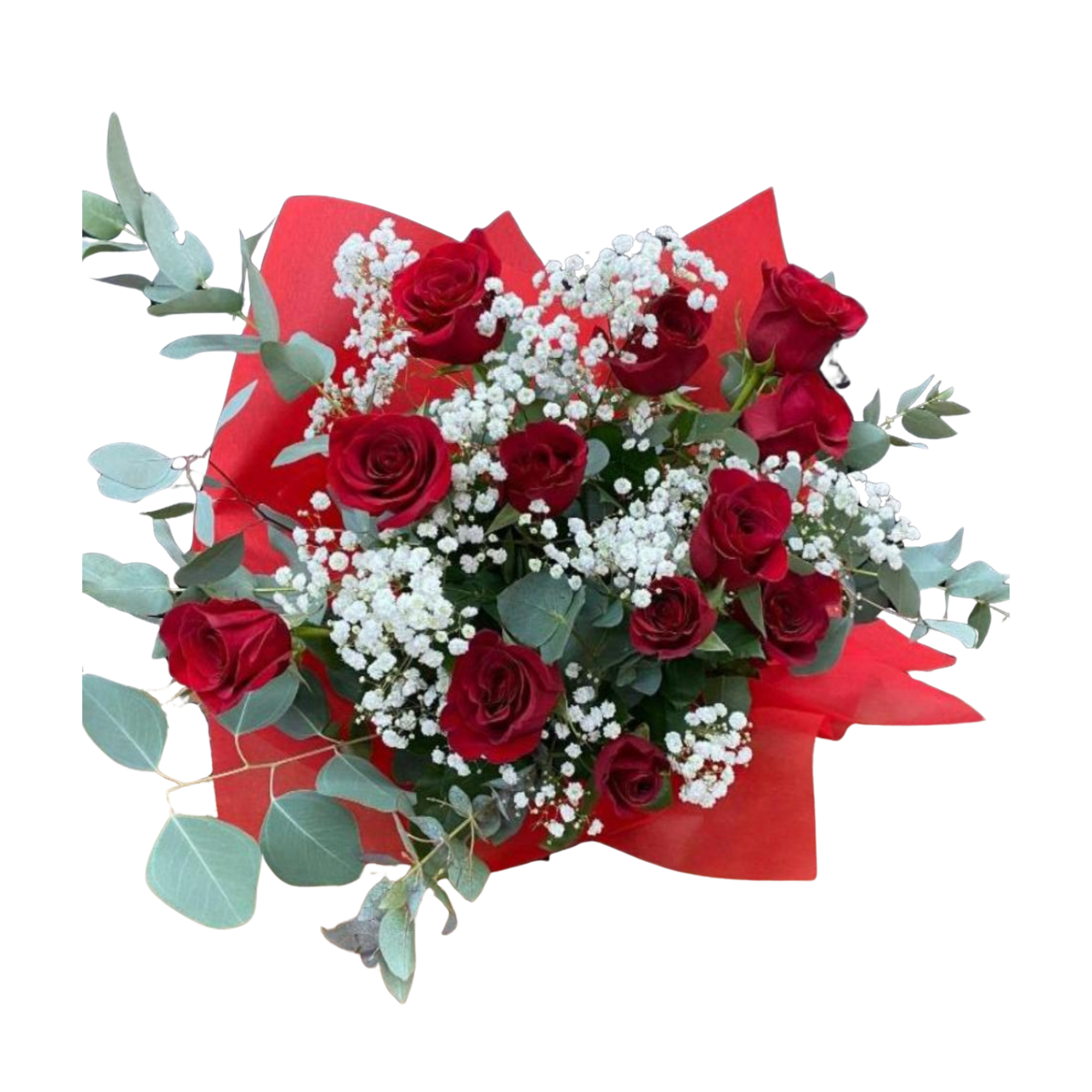 One Dozen Hand - Tied Red Rose Bouquet with Baby's Breath - Satellite Garden Centre