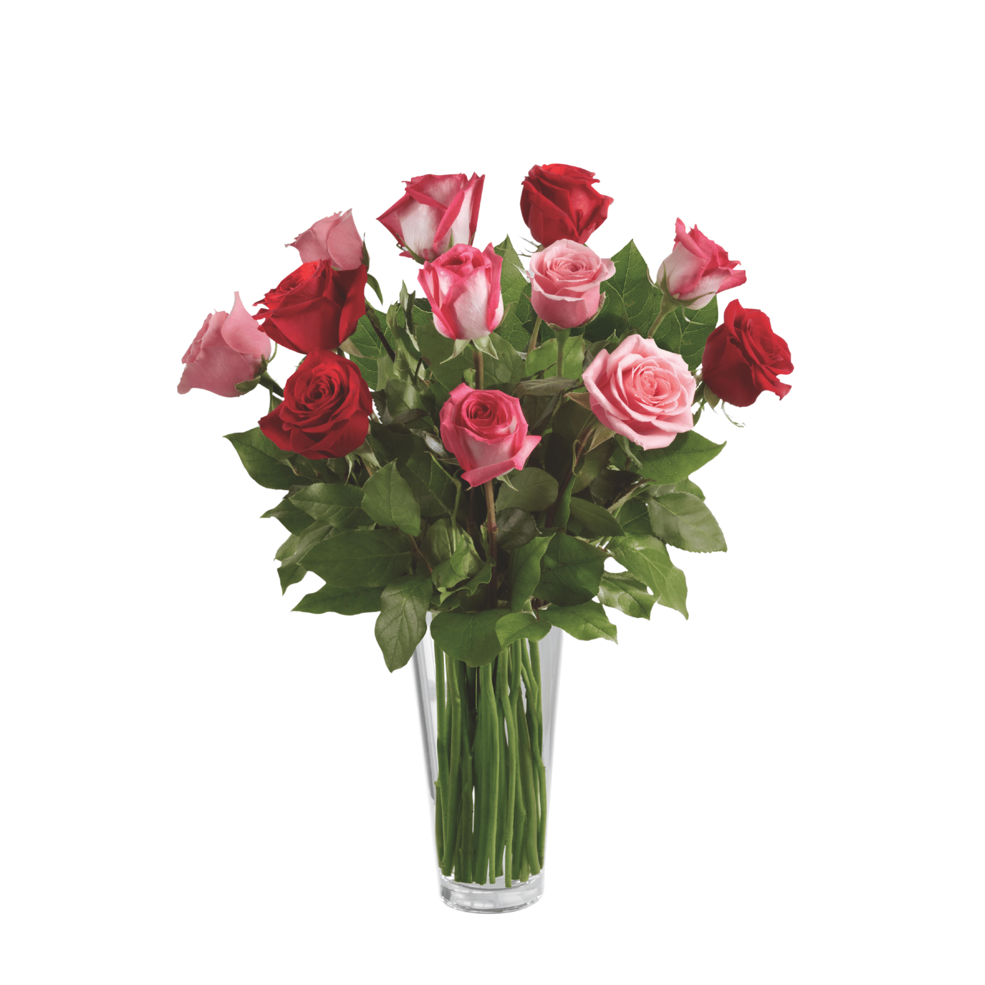 True Romance Rose Bouquet - Satellite Garden Centre