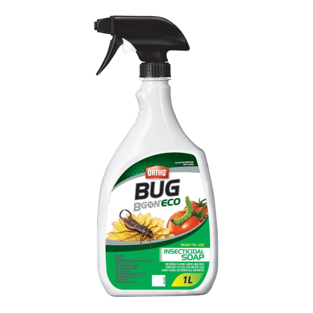 Bug BGONECO Insecticidal Soap 1L - Satellite Garden Centre