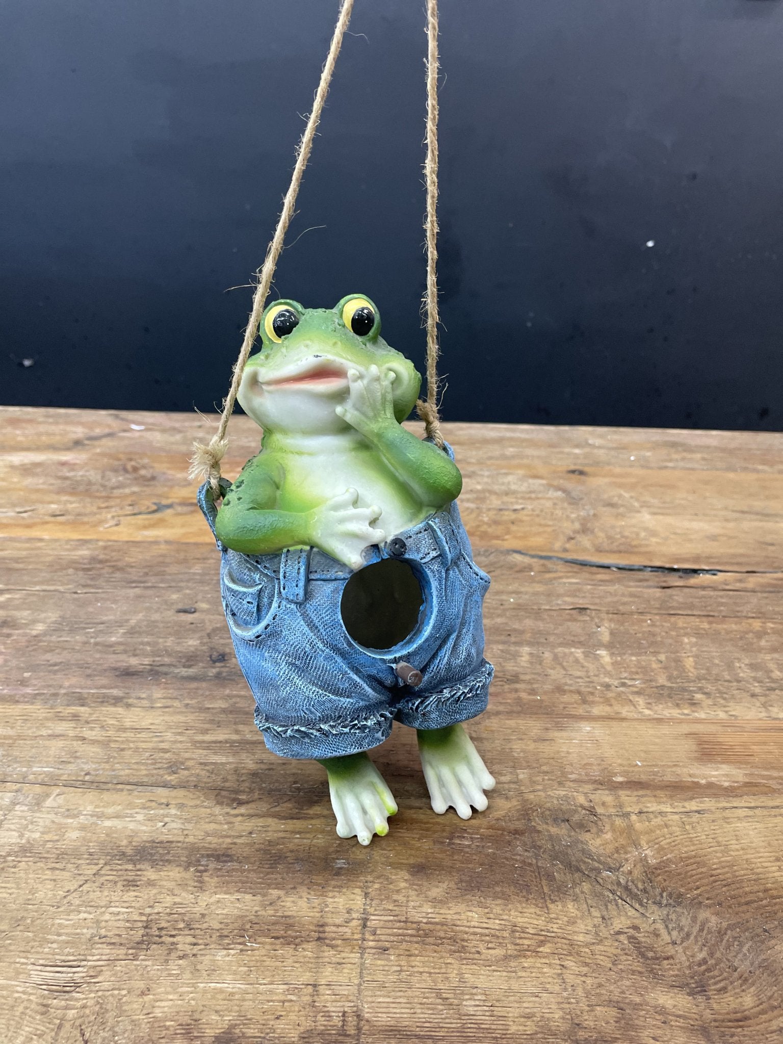 Hanging Frog - Satellite Garden Centre