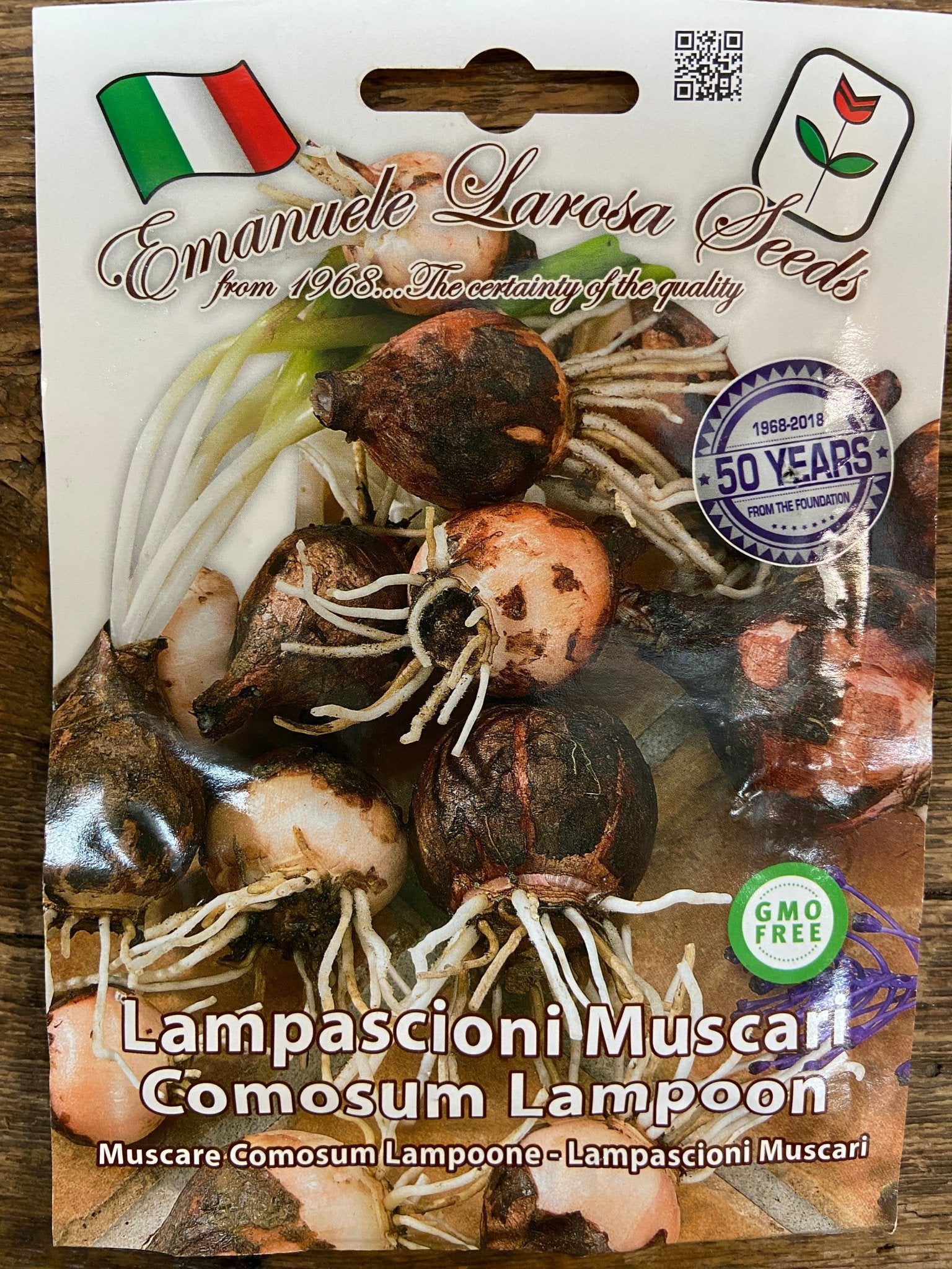 Lampascioni Muscal Comosum Lampoon - Satellite Garden Centre