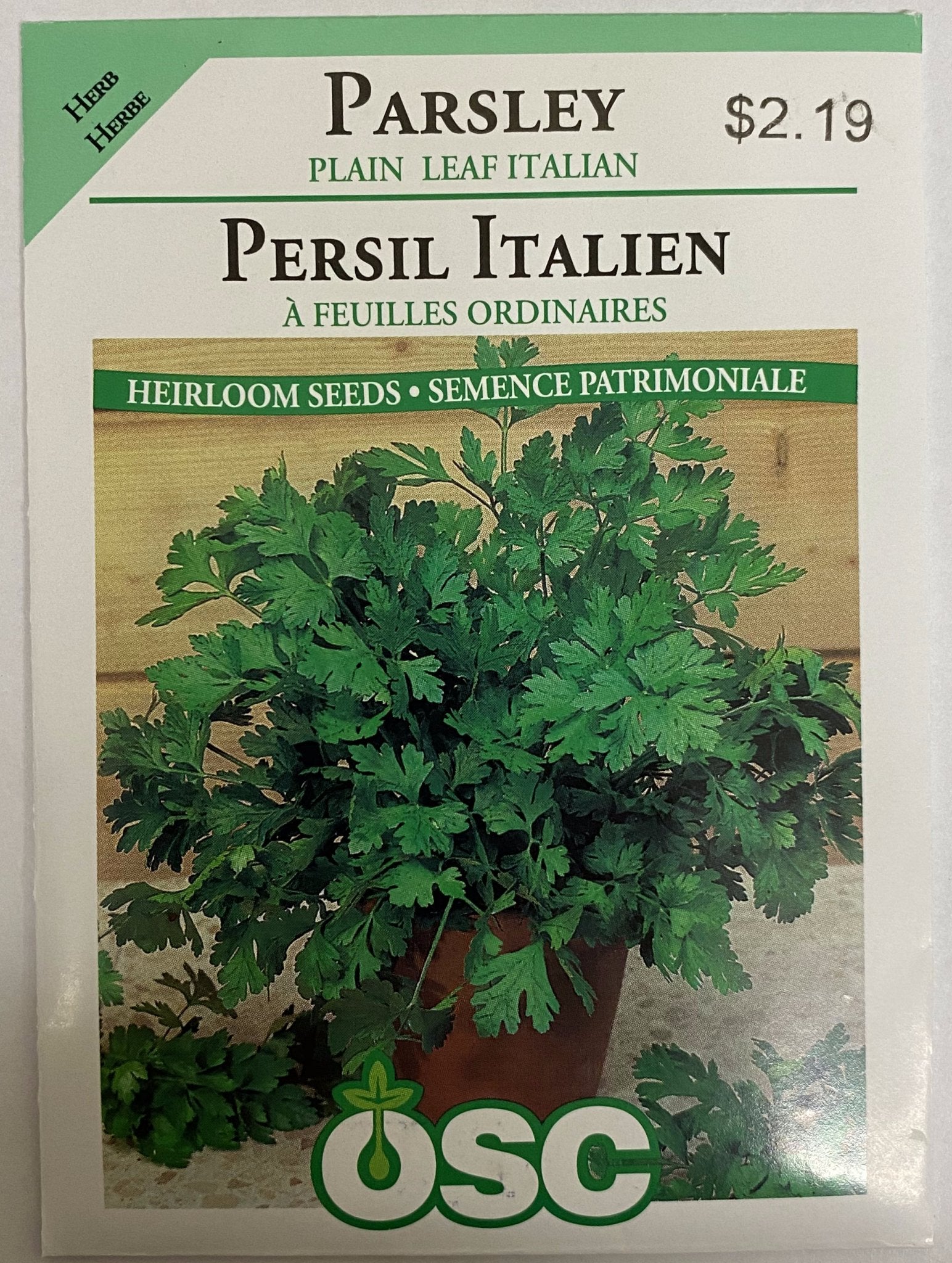 Parsley - Plain Leaf Italian - Satellite Garden Centre